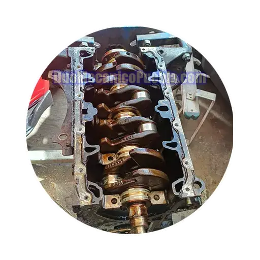 componentes-internos-motor-ajuste-puebla