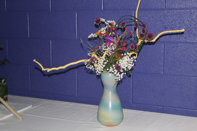 IMG 5703.jpg