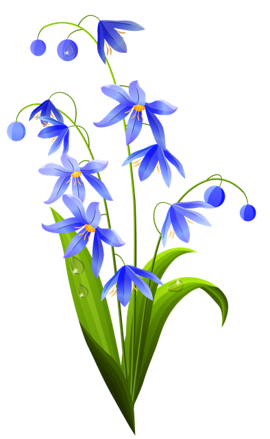 Spring Flowers5.png