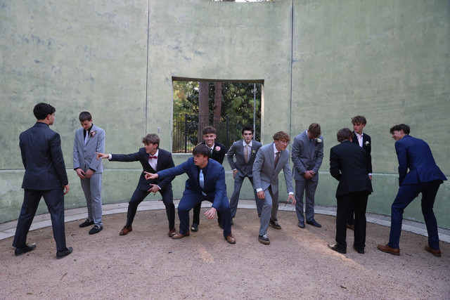 IMG-6503