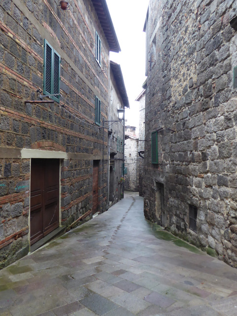 P1010523.jpg