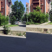IMG-9936