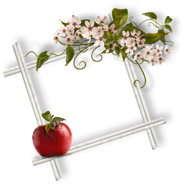 cluster-frame-384