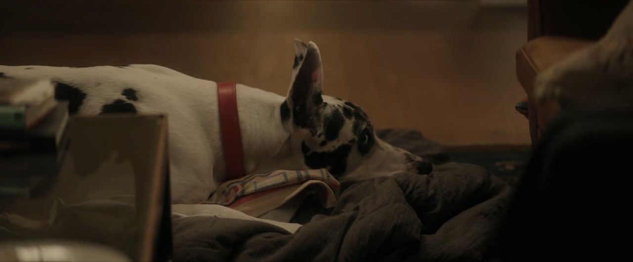 The Friend Screenshot