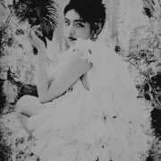 0006.gif