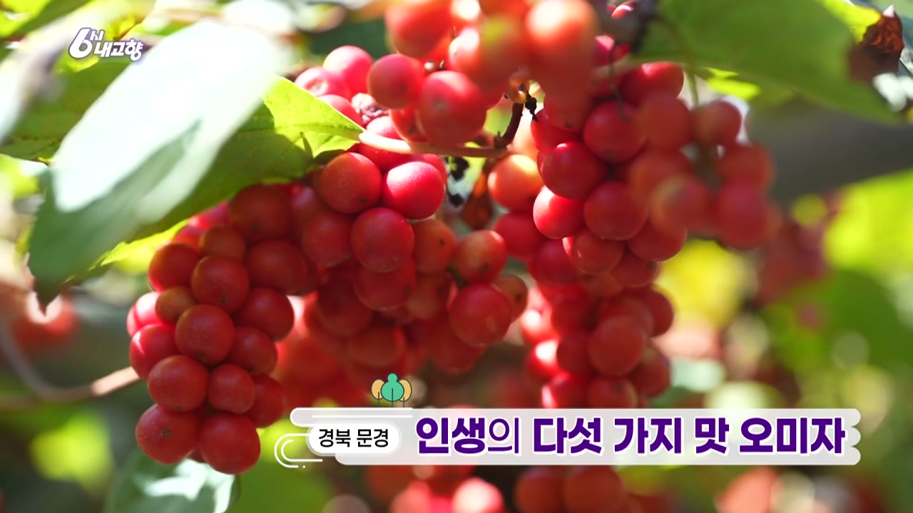 6시내고향 문경 오미자 추가 캡처 1