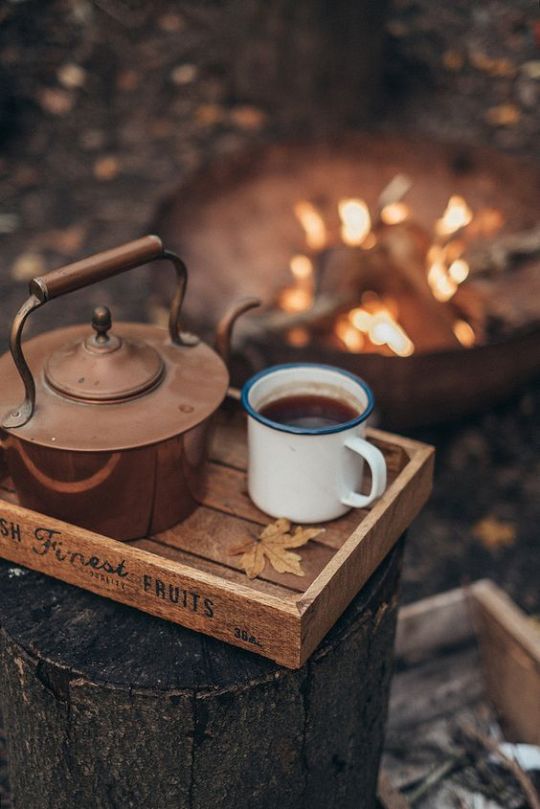 tumblr-p71fvo-EGEf1vbo63no1-540