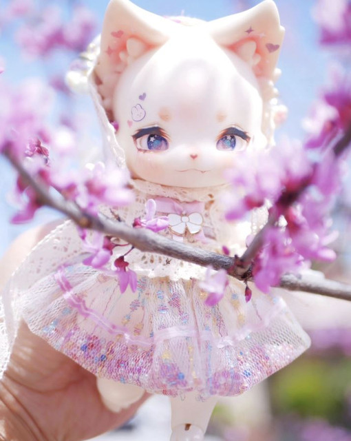 kaniboom kitty.jpg