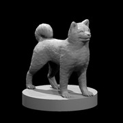 Akita Inu
