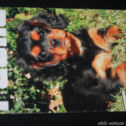 IMG-7714