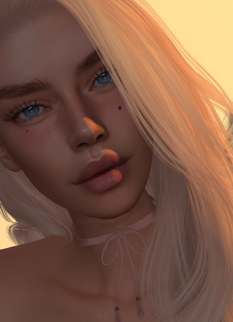 Snapshot-006