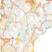 finnspring2023h