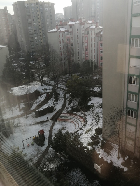 IMG-20210220-101017