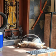 Bess-and-the-Buddha