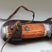 IMG-2824