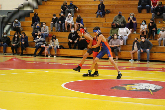 IMG-0051
