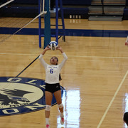 IMG-0394