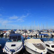 IMG-0564