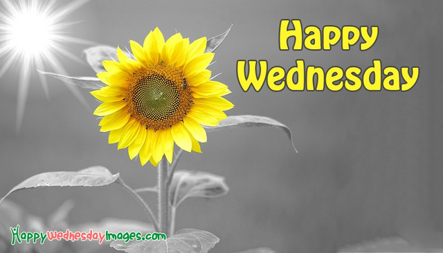 wednesday-3