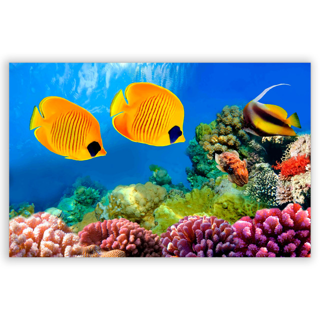 701520-Fundo-do-Mar