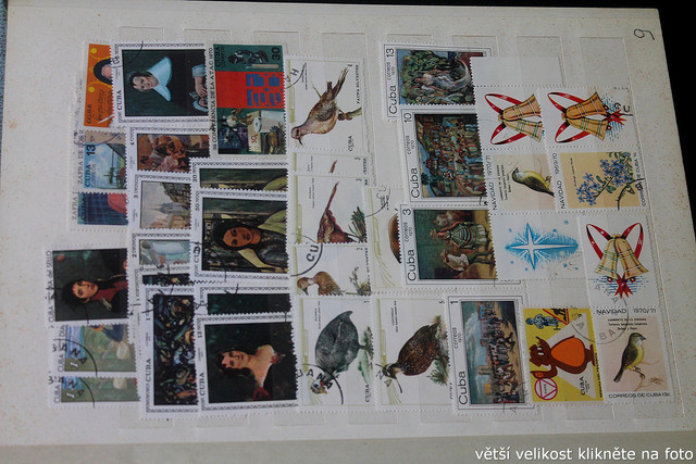 IMG-3498.jpg