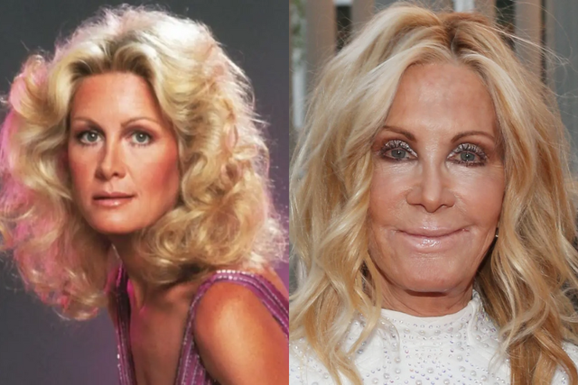 joan-van-ark