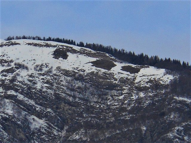 DSCN5013-2