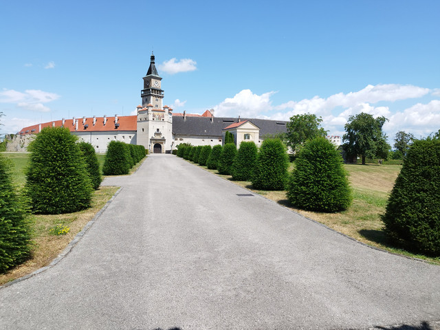 DIA 6. Sankt Pantaleon a Grein. Jueves 6 de julio - Ruta en bici del Danubio- julio 2023 (9)