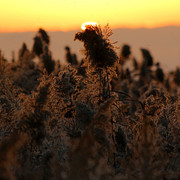IMG-3013