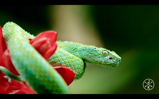 Screenshot-13