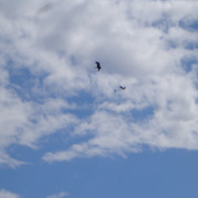 DSC00696