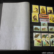 IMG-2226