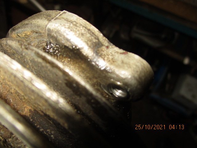 IMG-8905.jpg