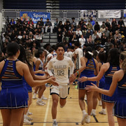 IMG-0331