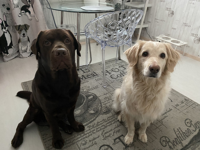 79639-CE9-026-E-44-A1-9-D86-FDEB3-F2493-