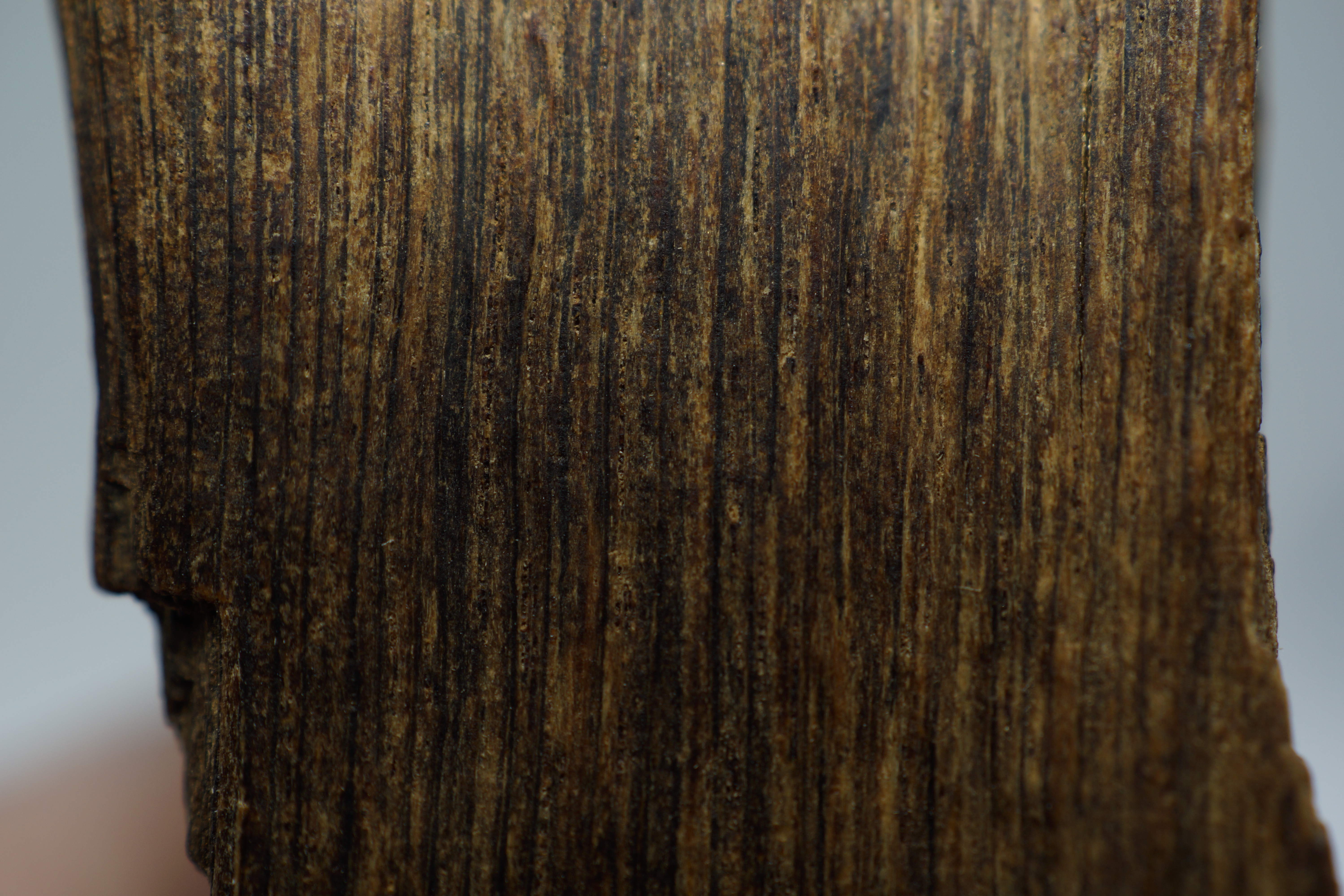 [Ouddict.com] Oud Photos