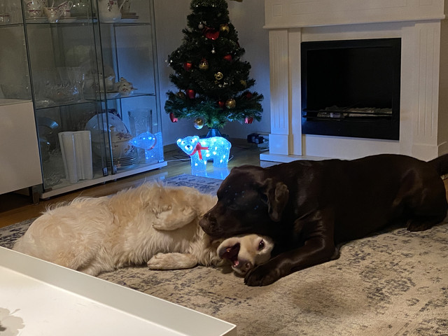 F8-B56806-2385-402-C-8105-85-EA4-CA5-ED2