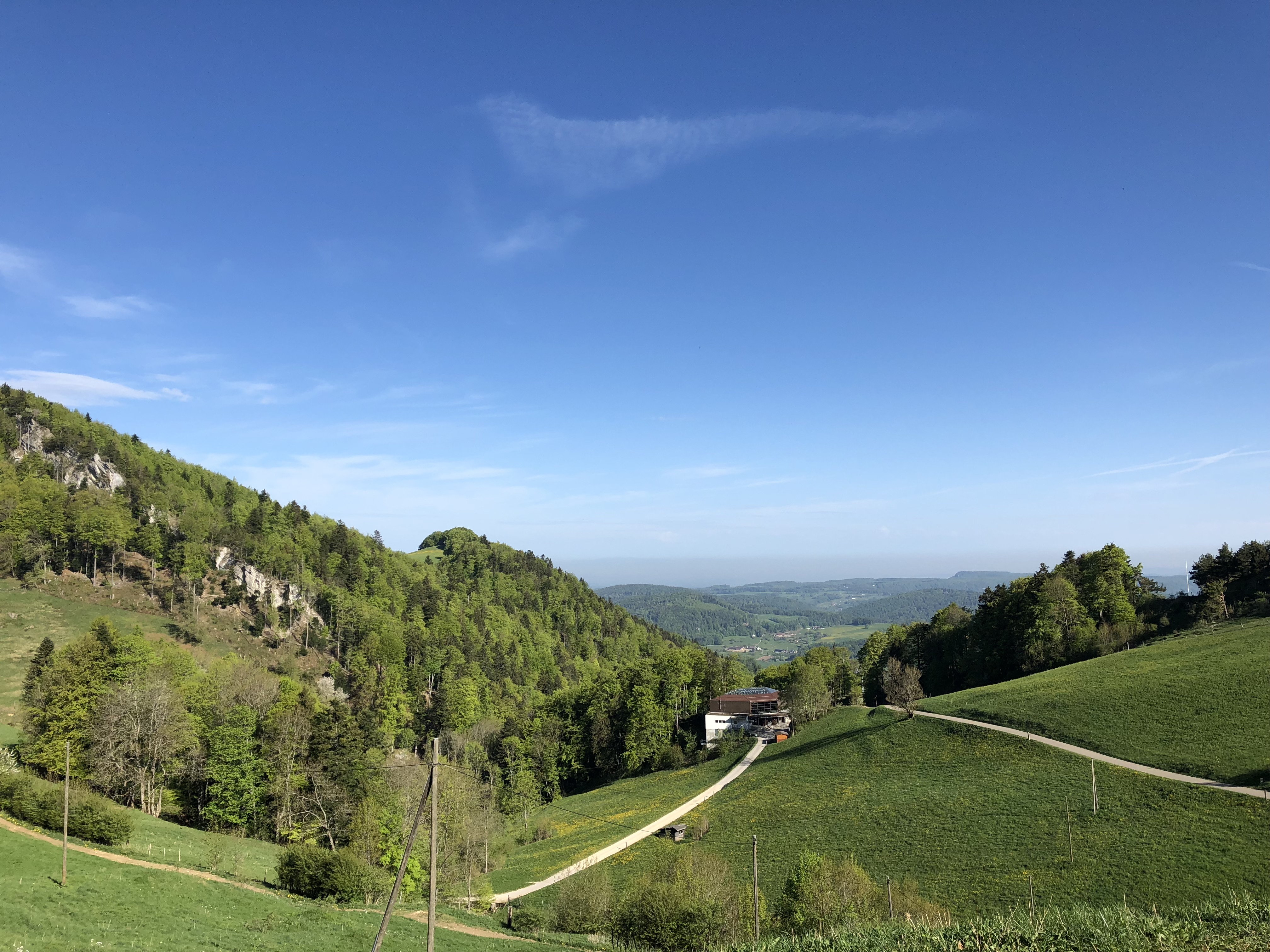 IMG-0889.jpg