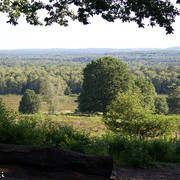 DSC0279