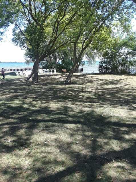 plaza2