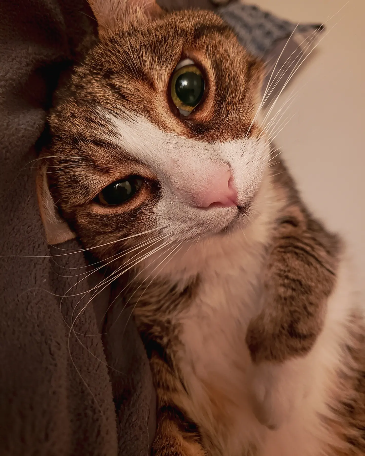IMG-20230922-211118-272.webp