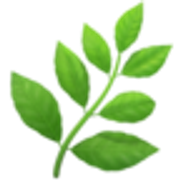 herb-1f33f