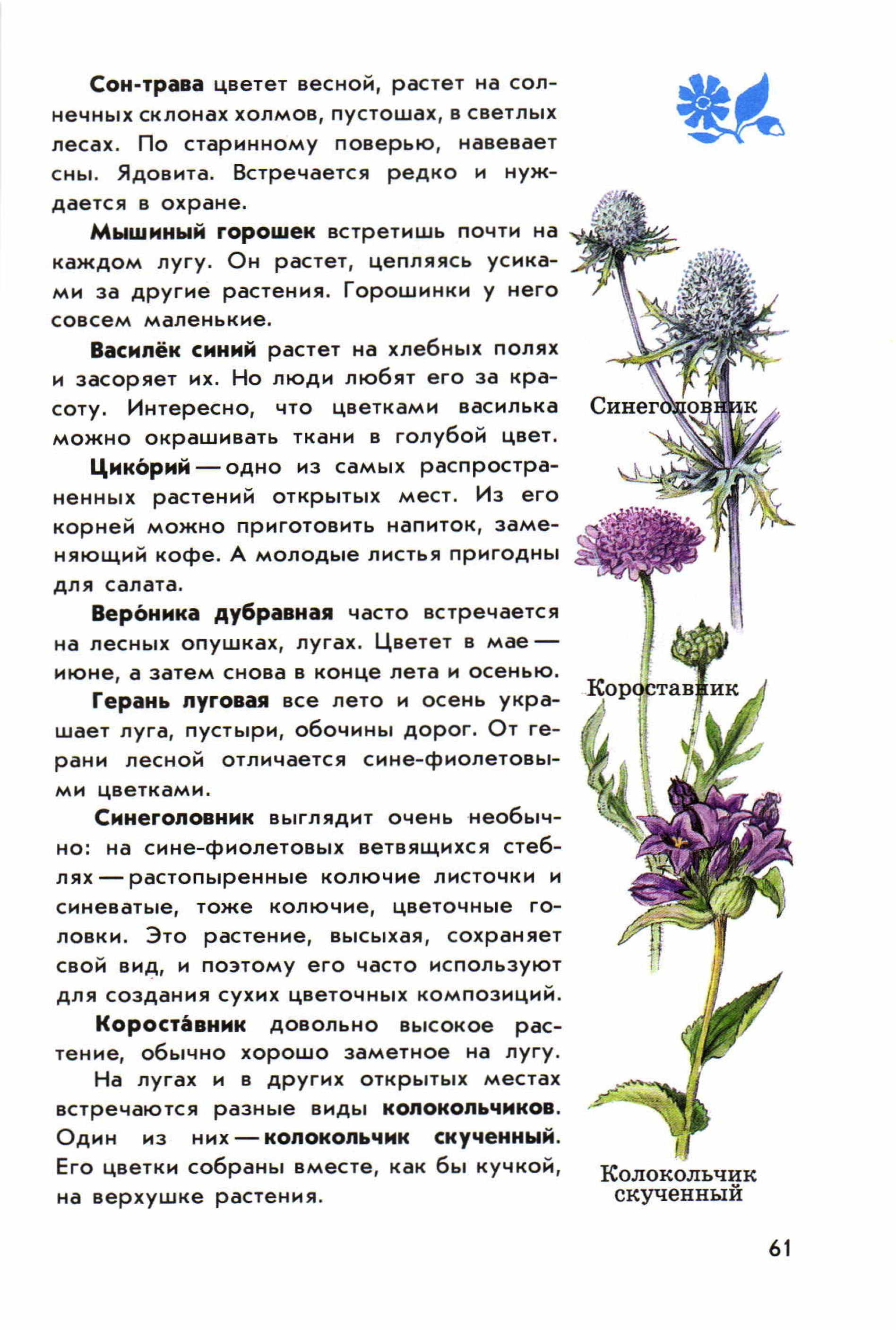 атлас определитель растения луга. атлас определитель 2 класс травянистые растения. растения открытых мест. атлас определитель травянистых растений. травянистые растения открытых мест атлас-определитель репейник.