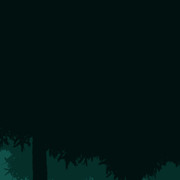 Pine-Forest12042-rectangle
