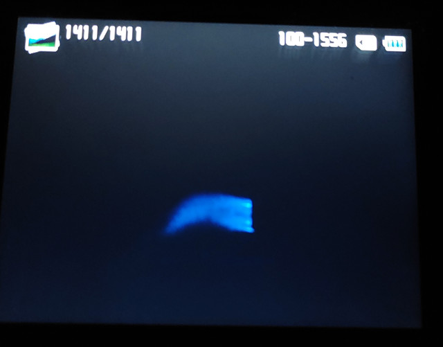 20210920-030419.jpg
