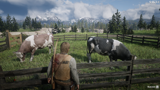 RDR2-V1-00-Vista-Wrobels-Ranch