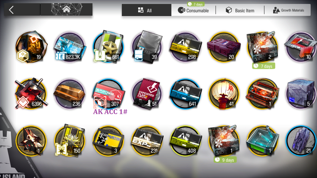 AK-1-Bag-1.png