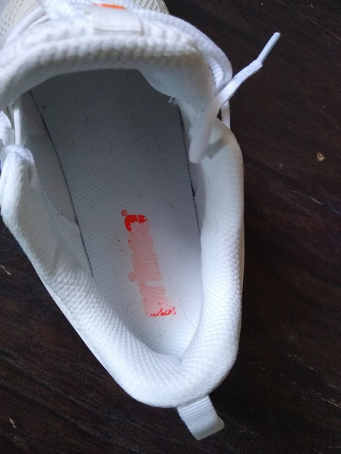 insolelogo