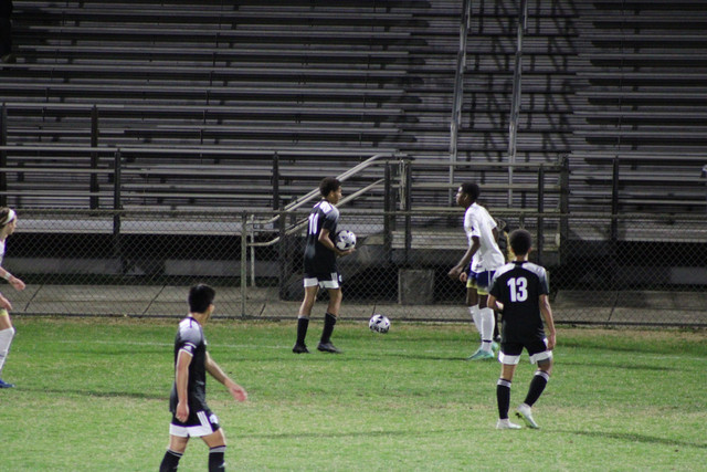 IMG-0101