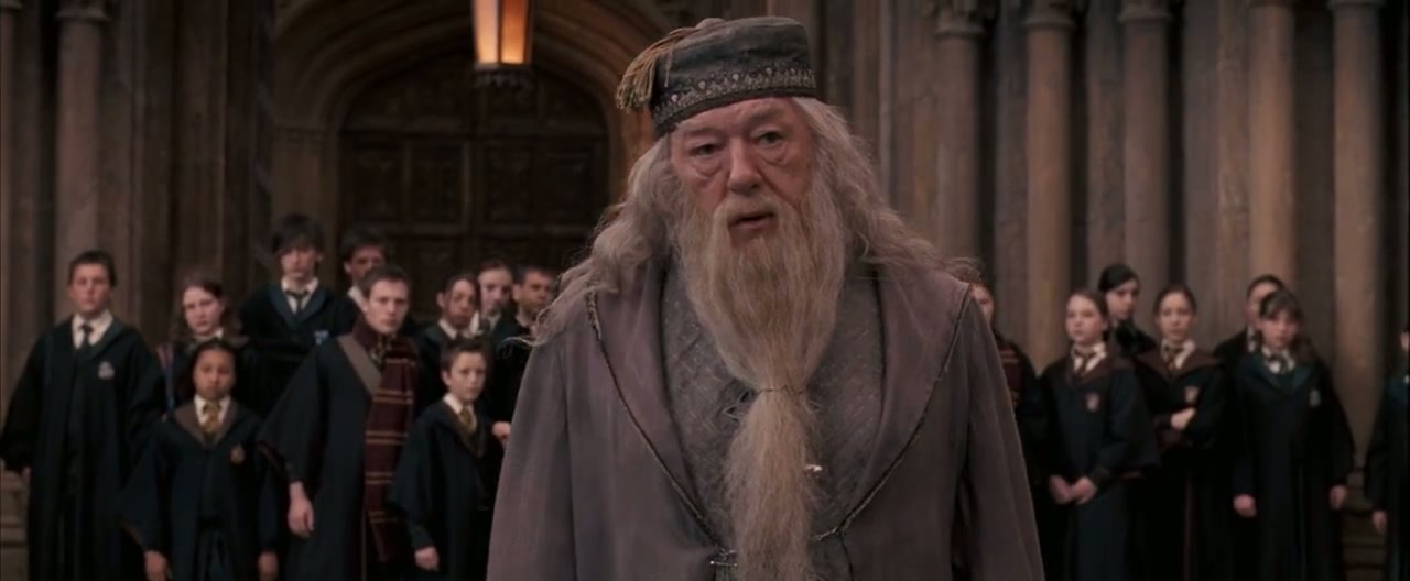 Harry Potter and the Order of the Phoenix Screenshot
